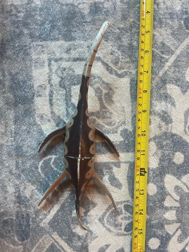 Vintage larami plesiosaur - vintage,